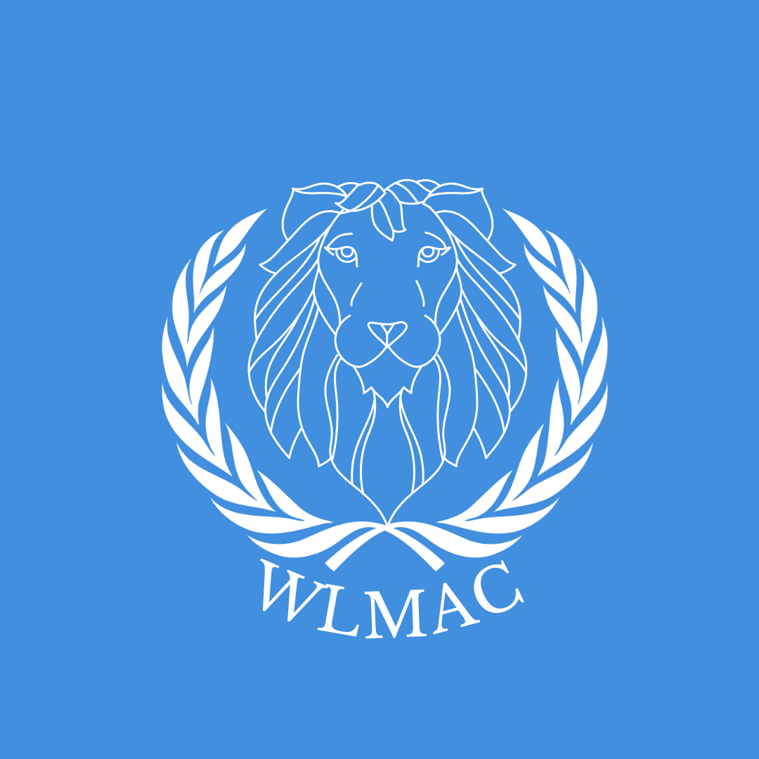 Model UN logo