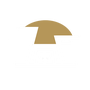 Metropolis logo
